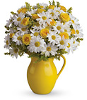 Teleflora's Sunny Day Pitcher of Daisies from Flowers by Ramon of Lawton, OK